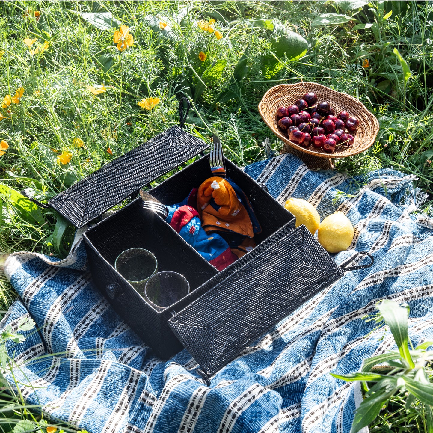 Cesta de picnic para el día perfecto