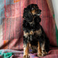 reversible vintage kantha throw | pink